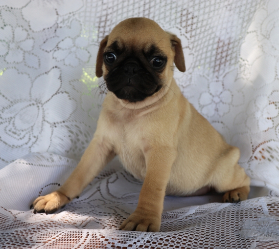 Lucy